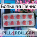 Большая Пенис 18